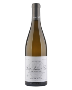 Domaine Marc Colin & Fils, Saint Aubin AC En Montceau 1ER